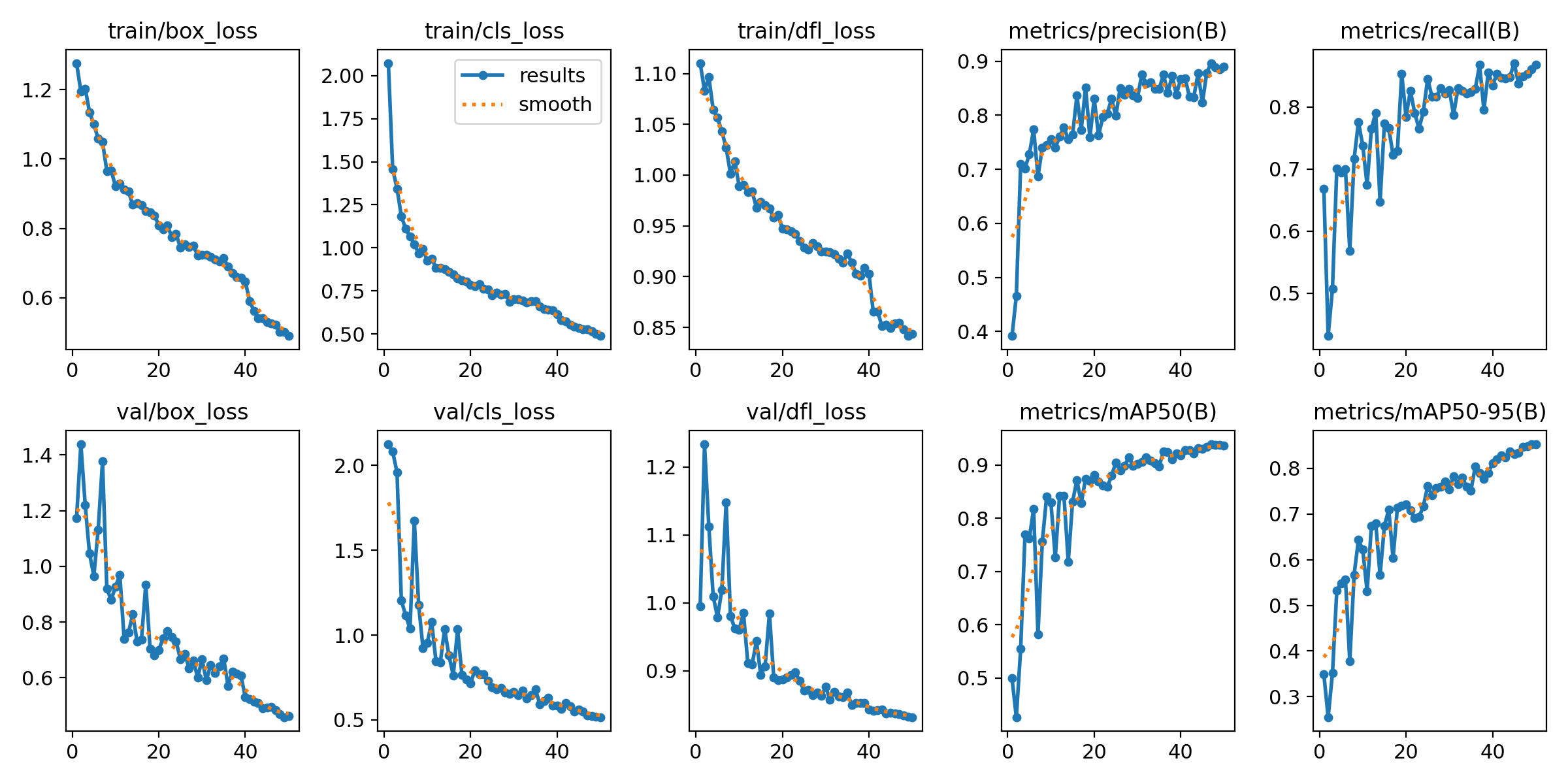 Training and Validation Losses