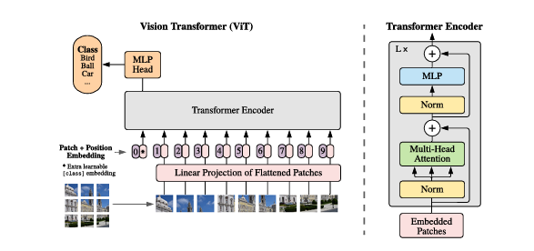 unit7_1_vit_architecture.png