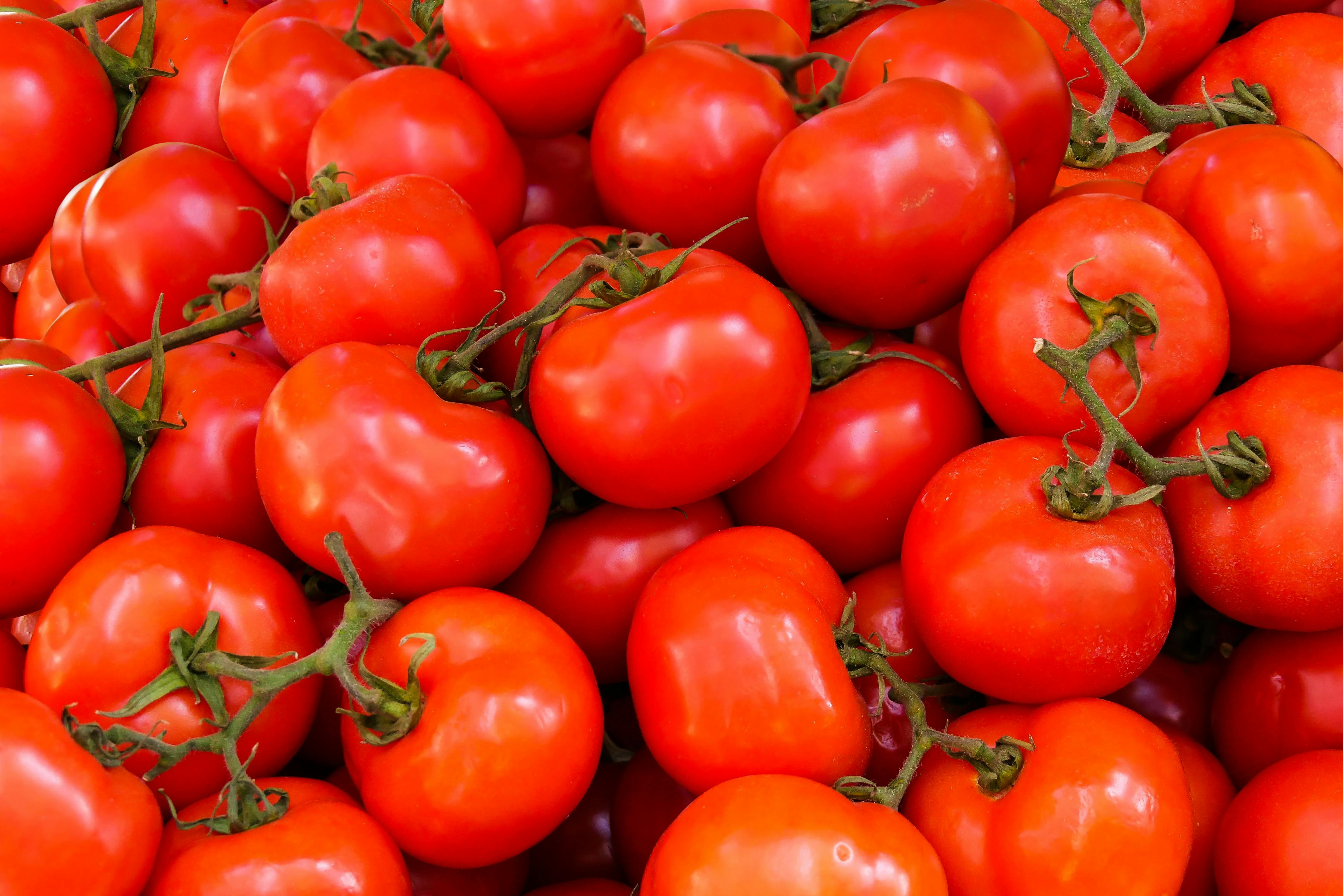 tomato_background.jpg