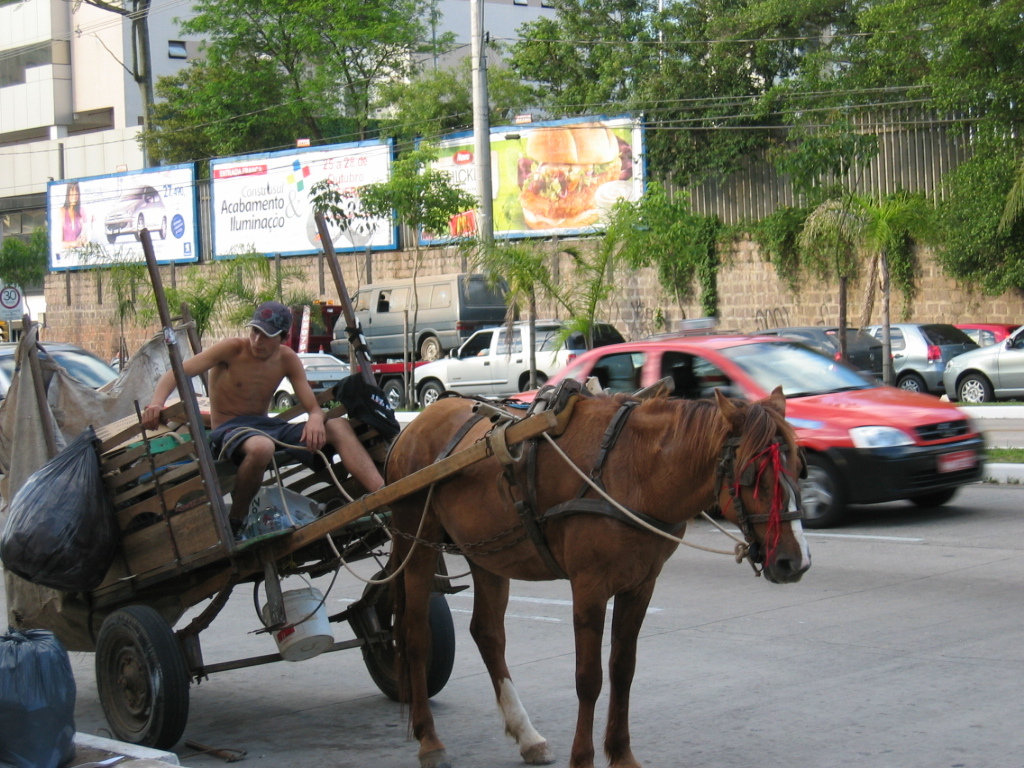 horse_cart