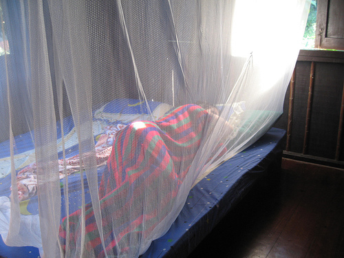 mosquito_net