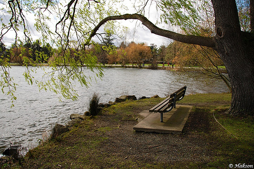 park_bench