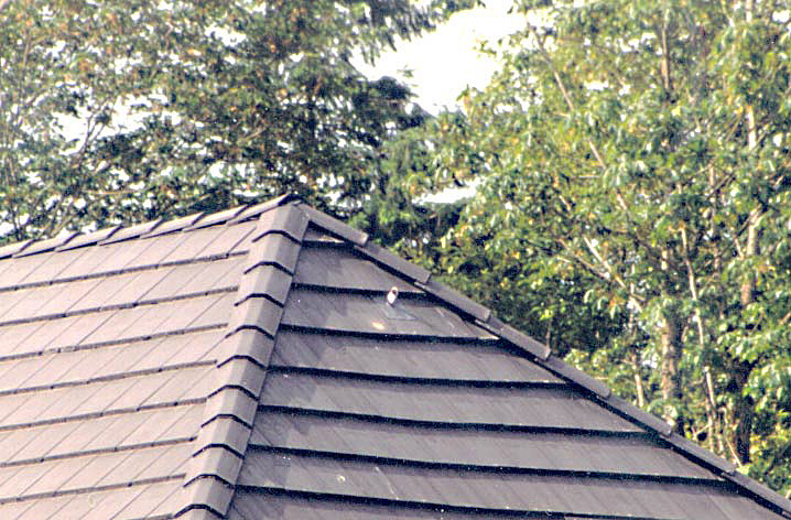 tile_roof