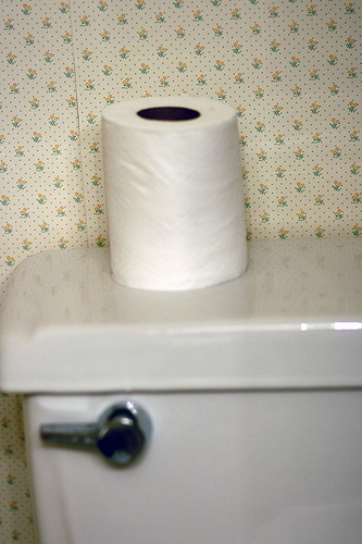 toilet_tissue