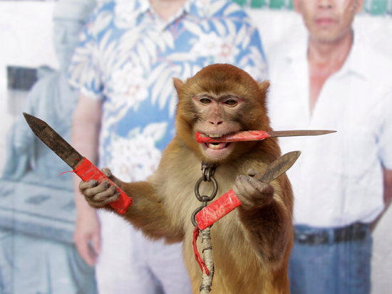 monkey_knives.png