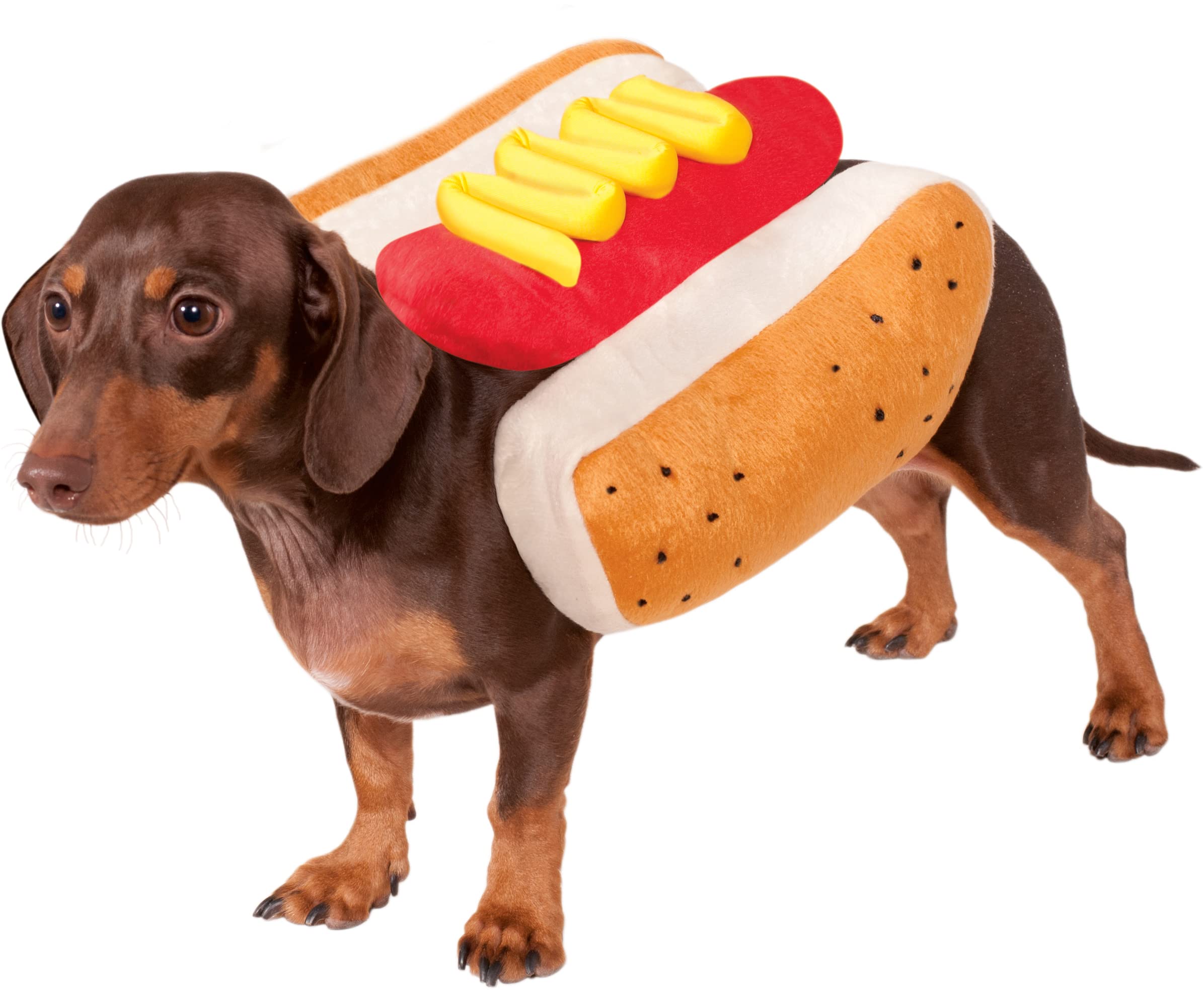 hotdog_dog.jpg