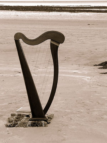 n03495258_9079_harp.jpg