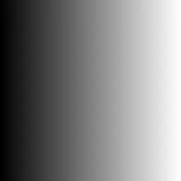 grayscale_256x256.webp