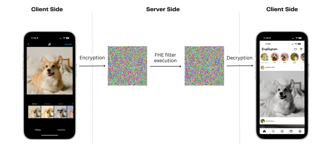 image_filtering_banner.png