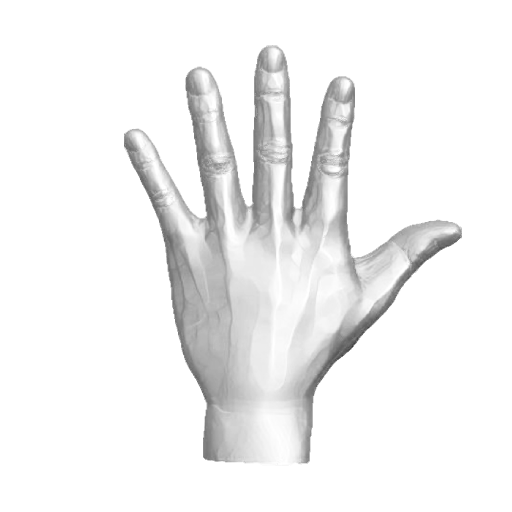 pp_hands01_02.png