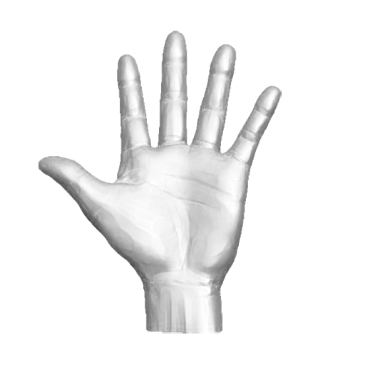 pp_hands01_03.png