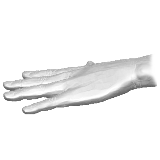 pp_hands01_07.png