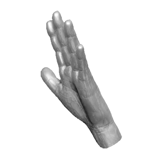 pp_hands01_11.png