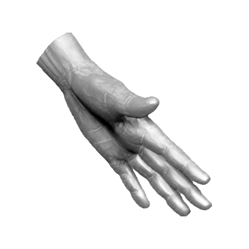 pp_hands01_14.png