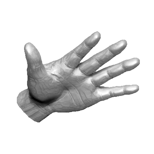 pp_hands01_16.png