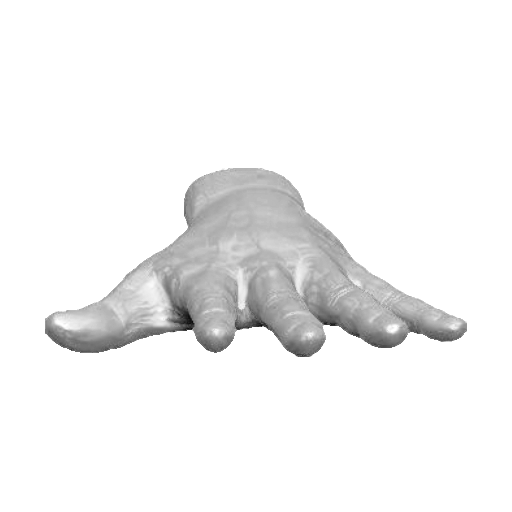 pp_hands01_23.png