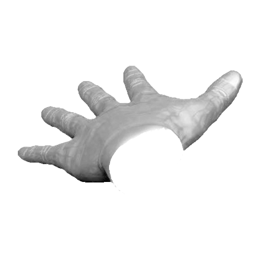 pp_hands01_27.png