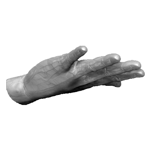 pp_hands01_36.png