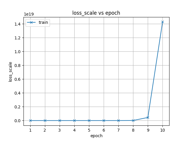 loss_scale.png